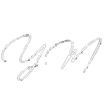 Yelena Markus - Courtier immobilier résidentiel